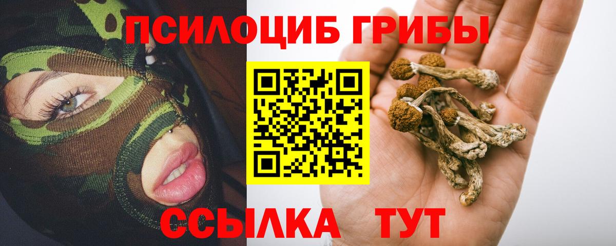 Галлюциногенные грибы MAGIC MUSHROOMS  Вход с VPN  Псилоцибиновые грибы Magic Shrooms  Йошкар-Ола 